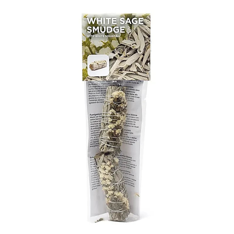 Weißer Salbei Smudge mit weißer Sinuata