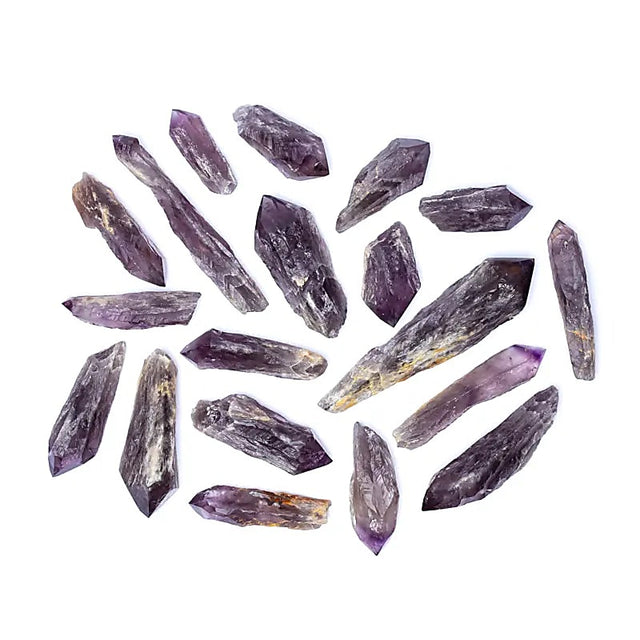 Rohe Amethystfinger -- ±500-1000g; ±12-25cm