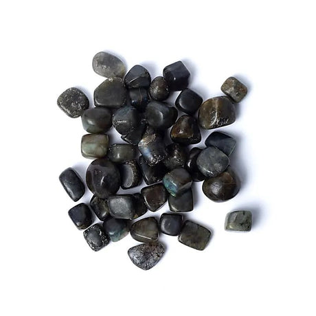 Labradorit Trommelsteine A-Qualität -- ±1,5-3,5cm; ±500g